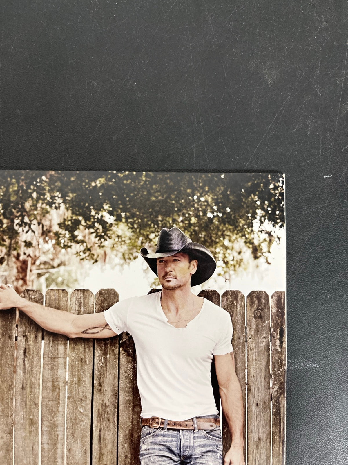 BACK_TR - Tim McGraw - The Biggest Hits Vinyl WARPED NOT TESTED