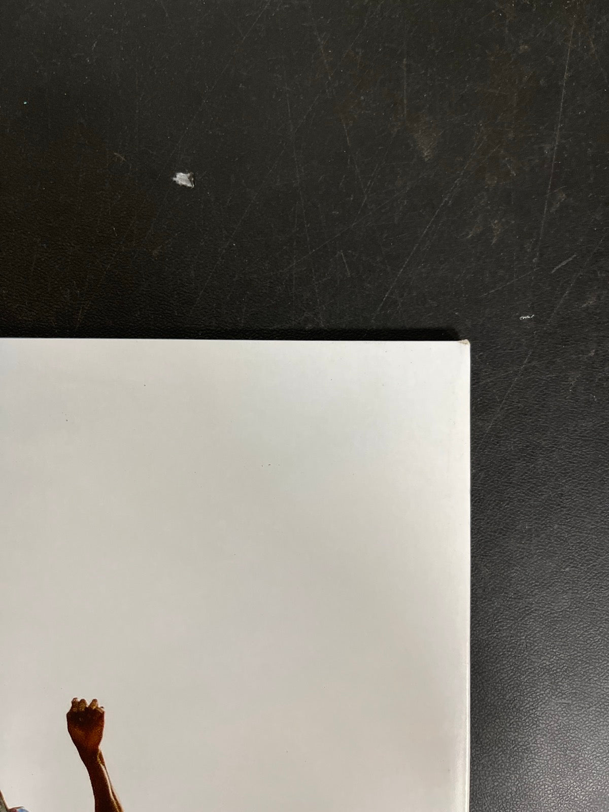 BACK_TR - Tyler, The Creator - Wolf LE Pink Vinyl USED NOT TESTED