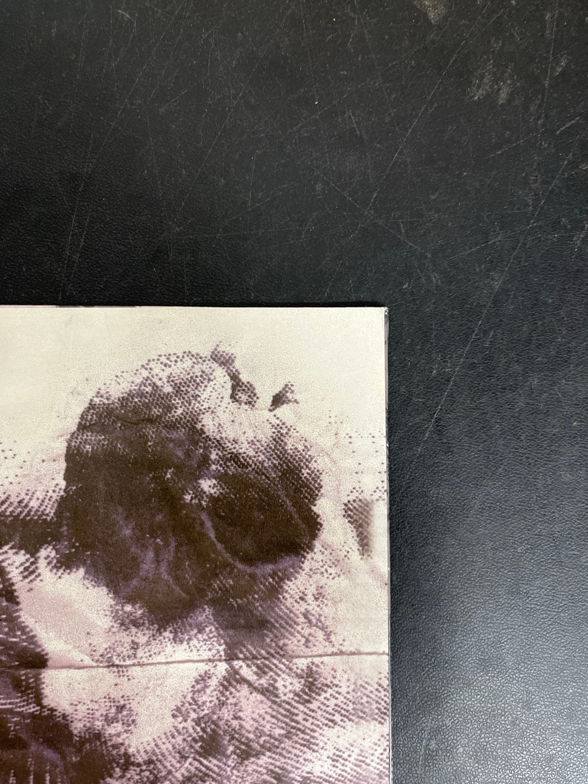 BACK_TR - $uicideboy$ - New World Depression Clear Vinyl USED NOT TESTED