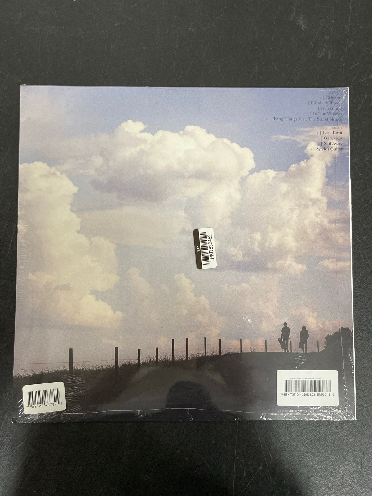 BACK - Tyler Ramsey & Carl Broemel - Celestun LE Magenta Vinyl SEALED NOT TESTED