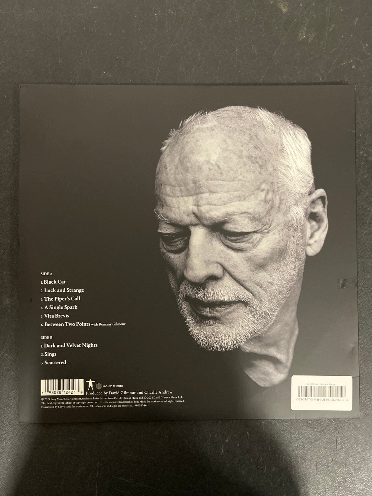 BACK - David Gilmour - Luck and S... Target Exclusive Blue Vinyl USED NOT TESTED