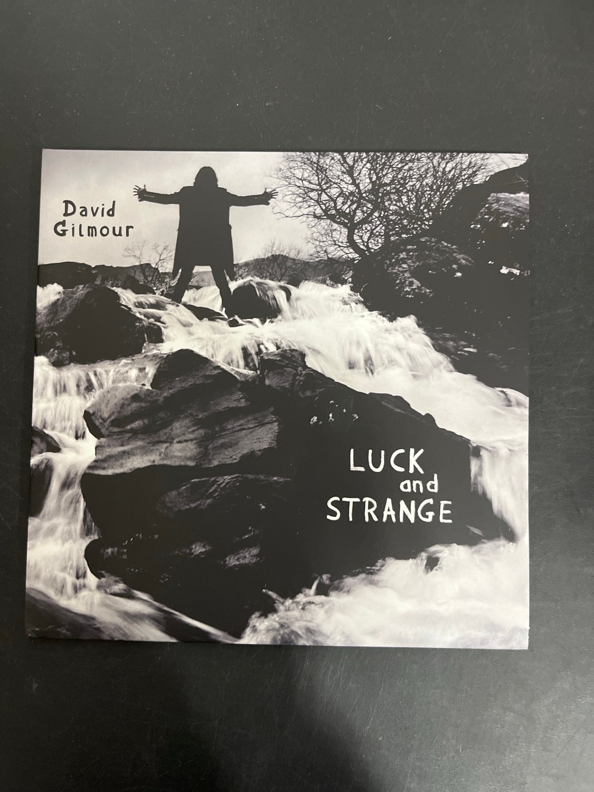 FRONT - David Gilmour - Luck and S... Target Exclusive Blue Vinyl USED NOT TESTED