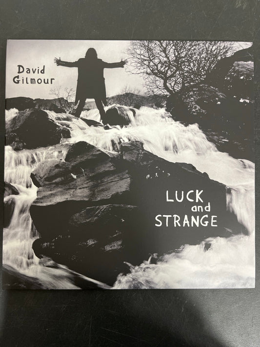 FRONT - David Gilmour - Luck and S... Target Exclusive Blue Vinyl USED NOT TESTED