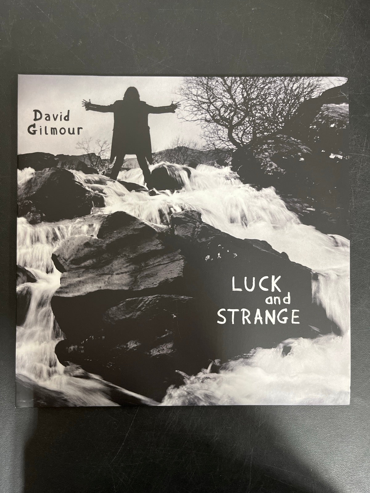 FRONT - David Gilmour - Luck and S... Target Exclusive Blue Vinyl USED NOT TESTED