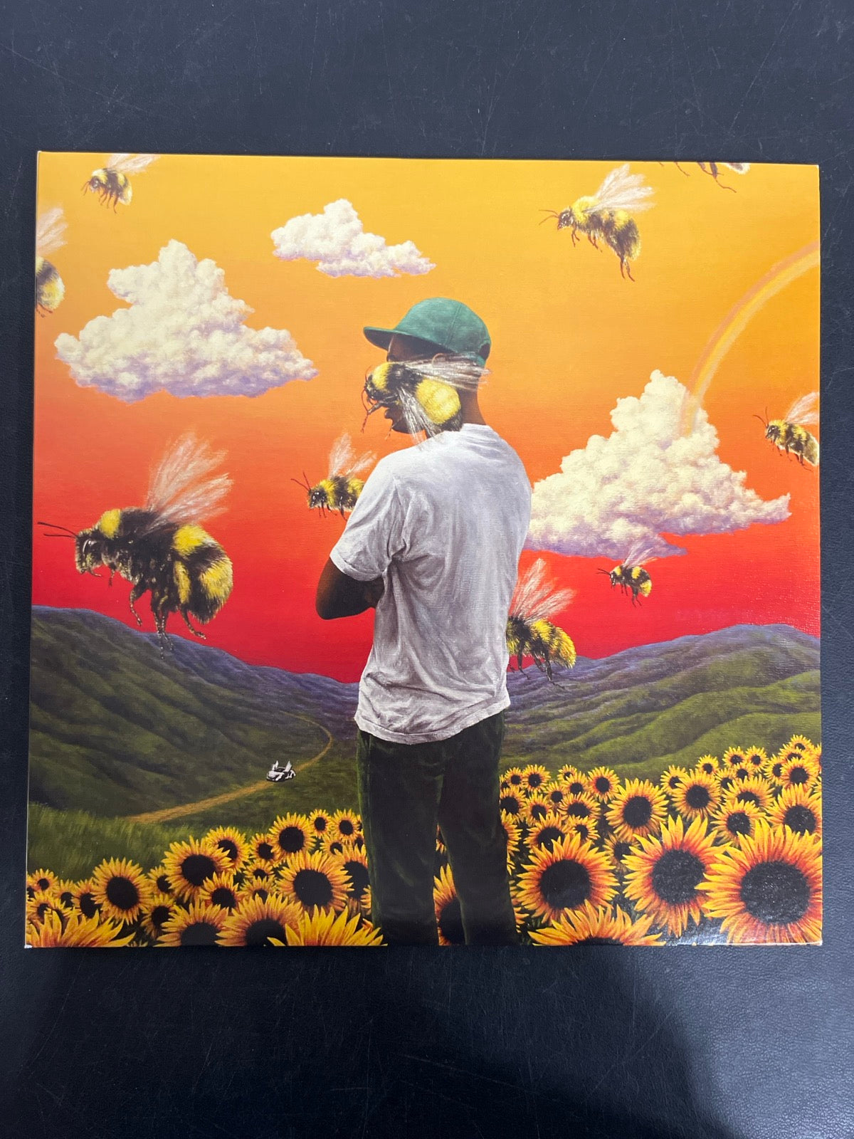 FRONT - Tyler, the Creator - Flower Boy LE Vinyl USED NOT TESTED