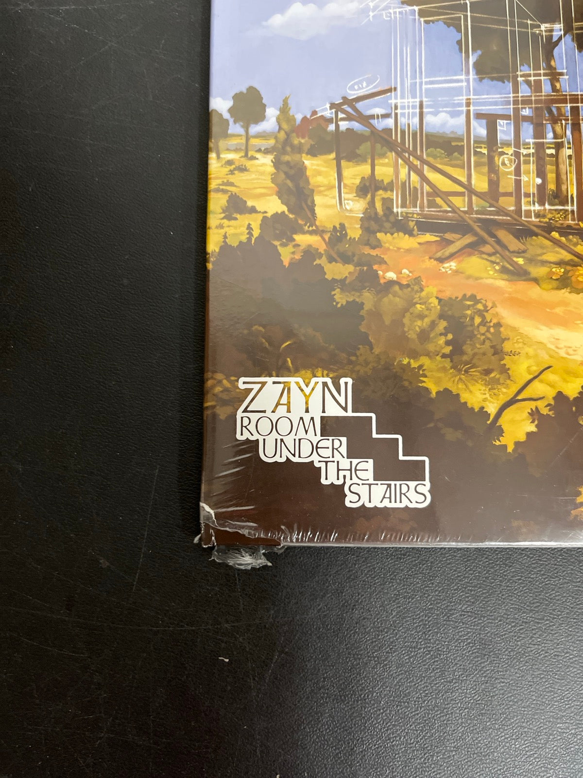 FRONT_BL - Zayn - Room Under ... LE Blue Smoke Vinyl USED NOT TESTED