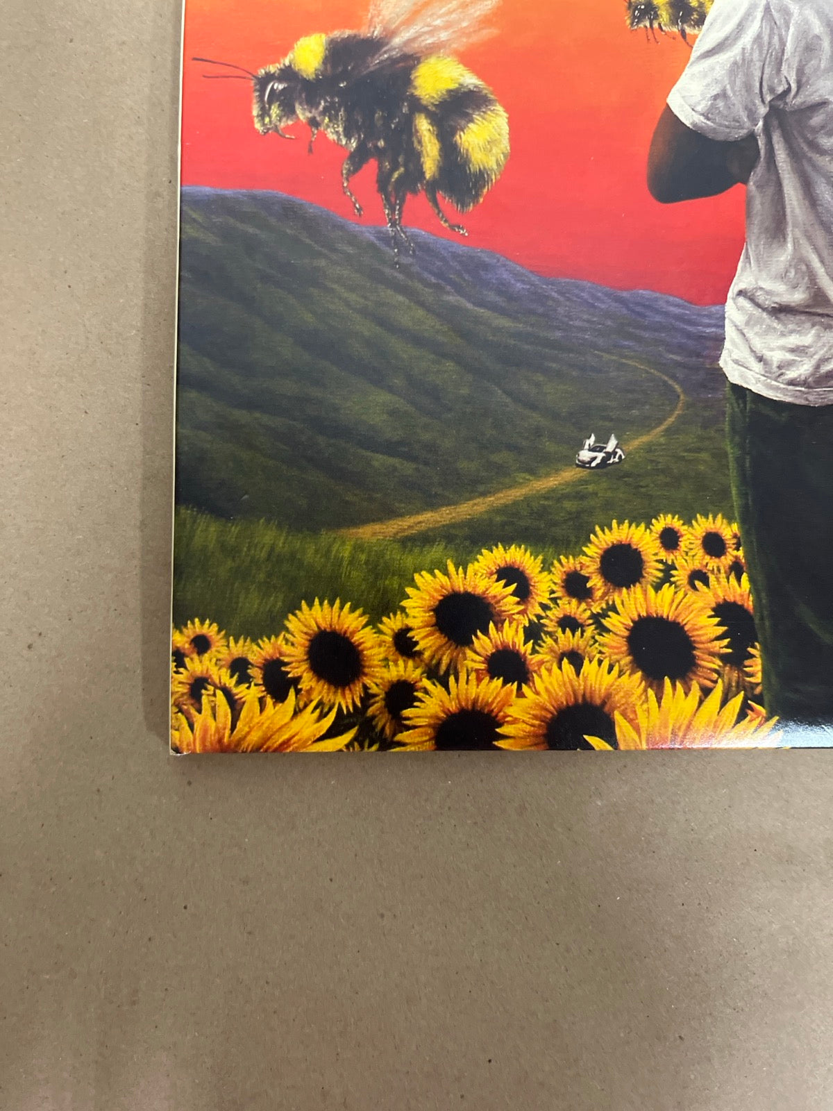 FRONT_BL - Tyler, the Creator - Flower Boy LE Vinyl USED NOT TESTED