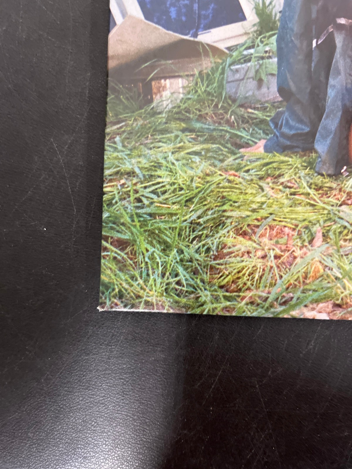 FRONT_BL - SZA - Ctrl LE Translucent Green Vinyl USED NOT TESTED