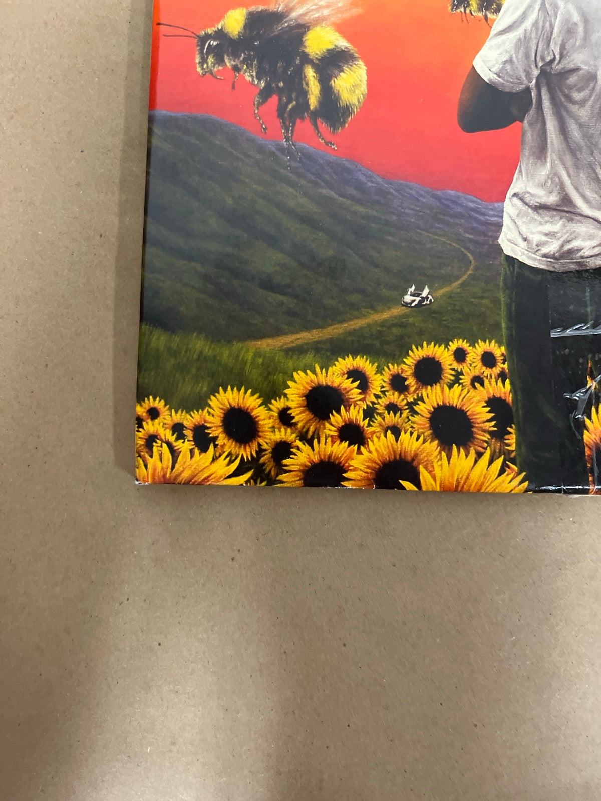 FRONT_BL - Tyler, the Creator - Flower Boy LE Vinyl USED NOT TESTED