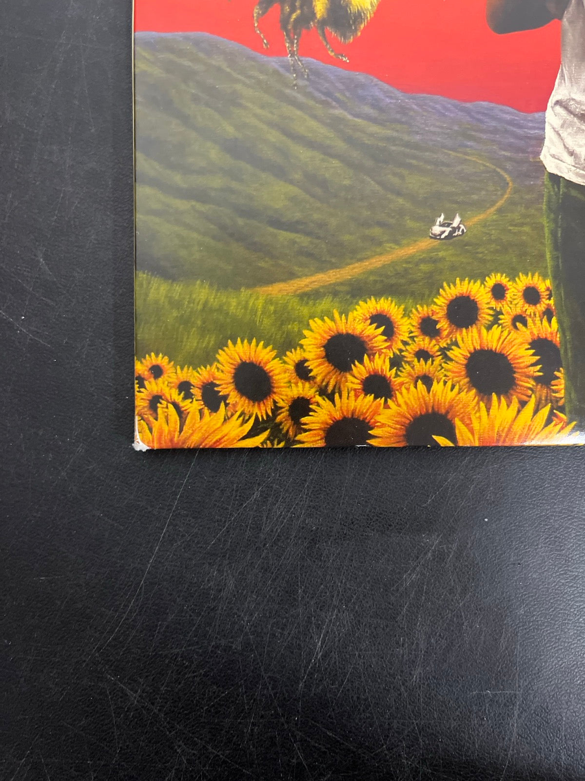 FRONT_BL - Tyler, the Creator - Flower Boy LE Vinyl USED NOT TESTED