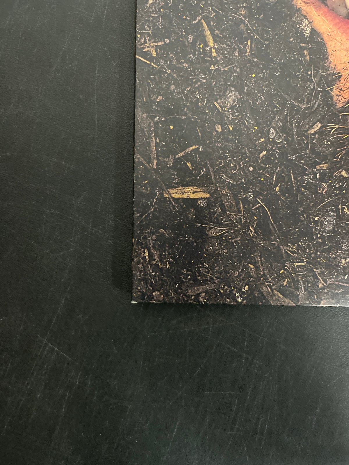 FRONT_BL - Hozier - Unreal Unearth Target Exclusive Vinyl USED NOT TESTED
