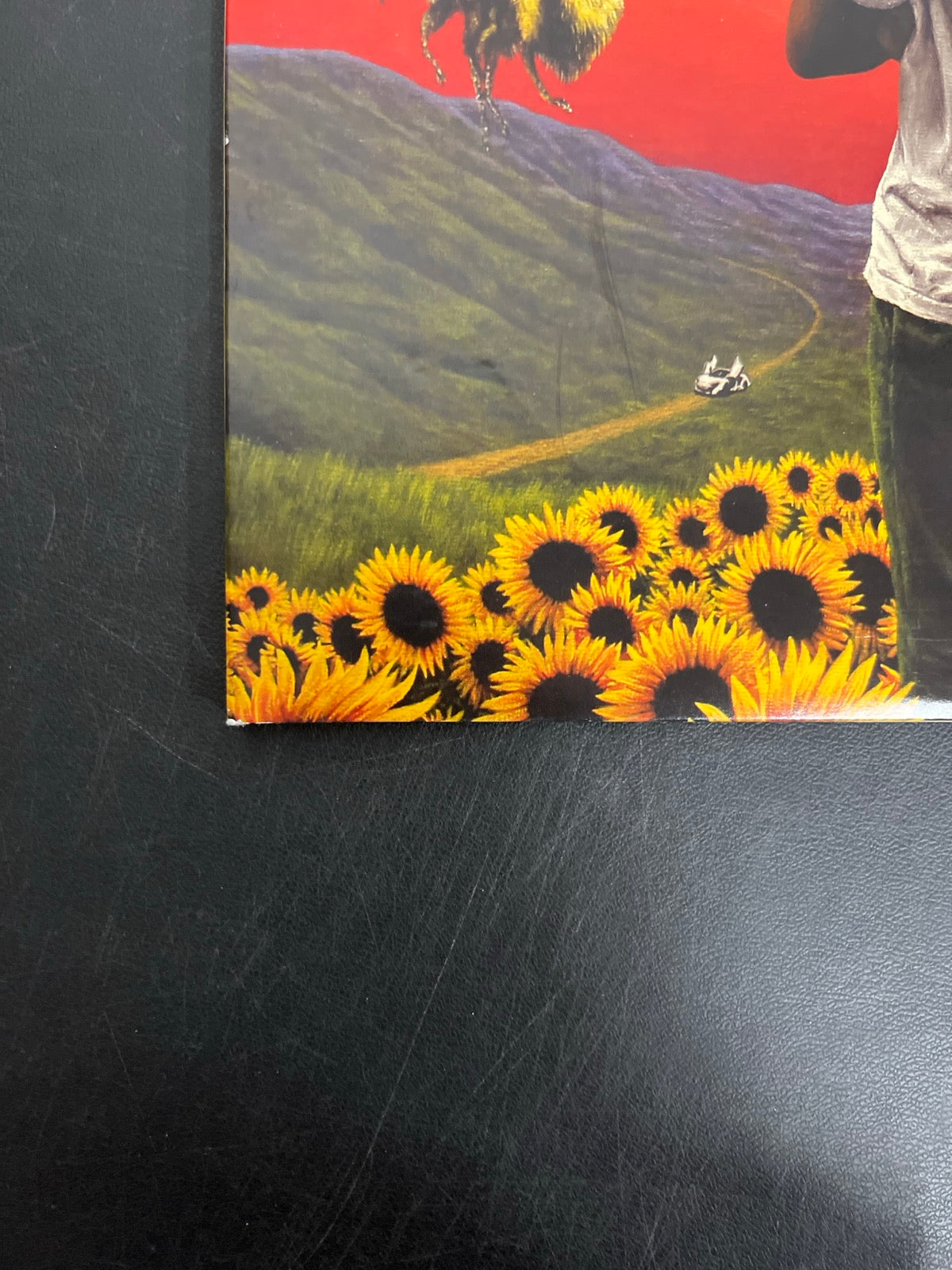 FRONT_BL - Tyler, the Creator - Flower Boy LE Vinyl USED NOT TESTED