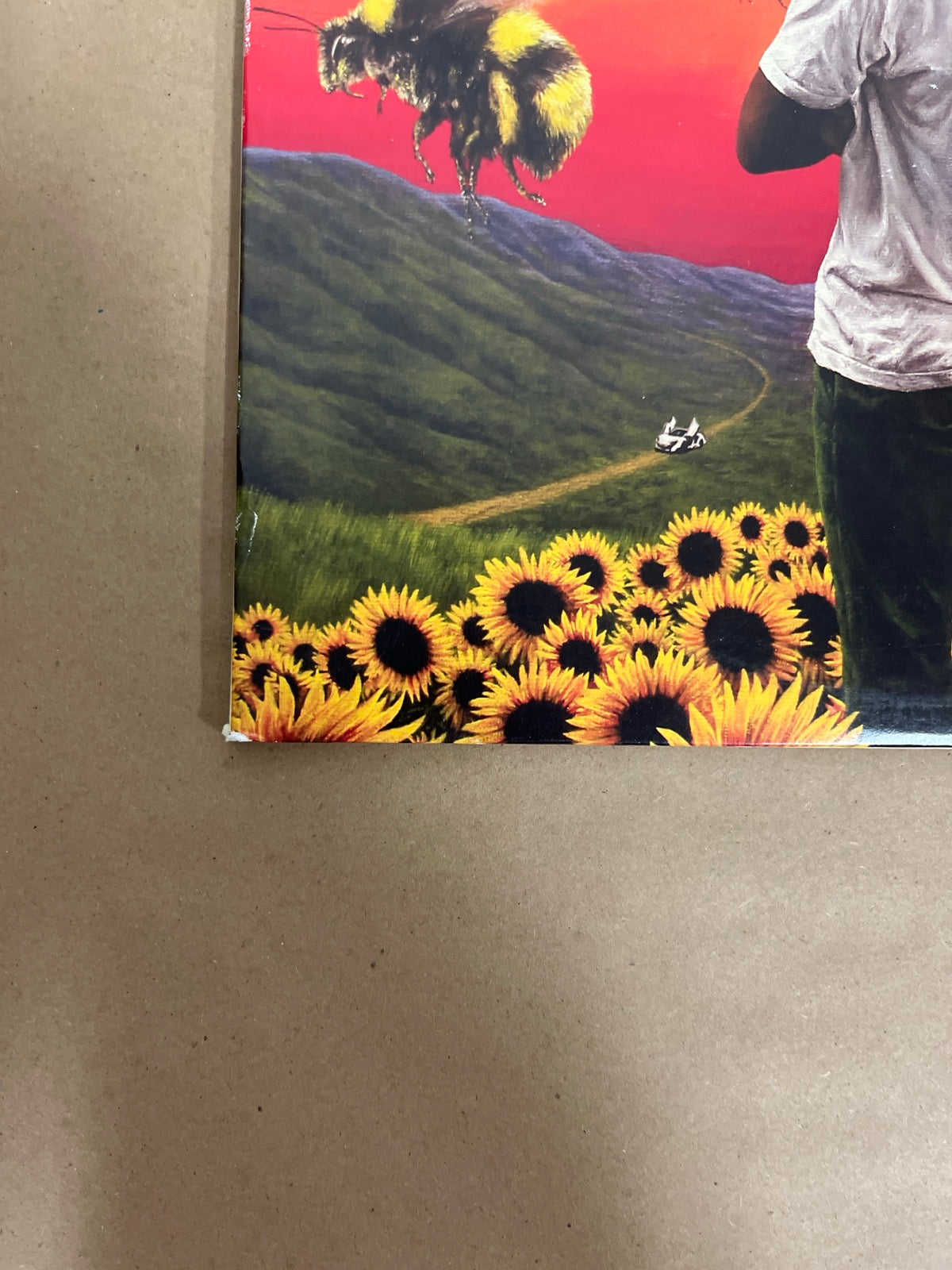 FRONT_BL - Tyler, the Creator - Flower Boy LE Vinyl USED NOT TESTED