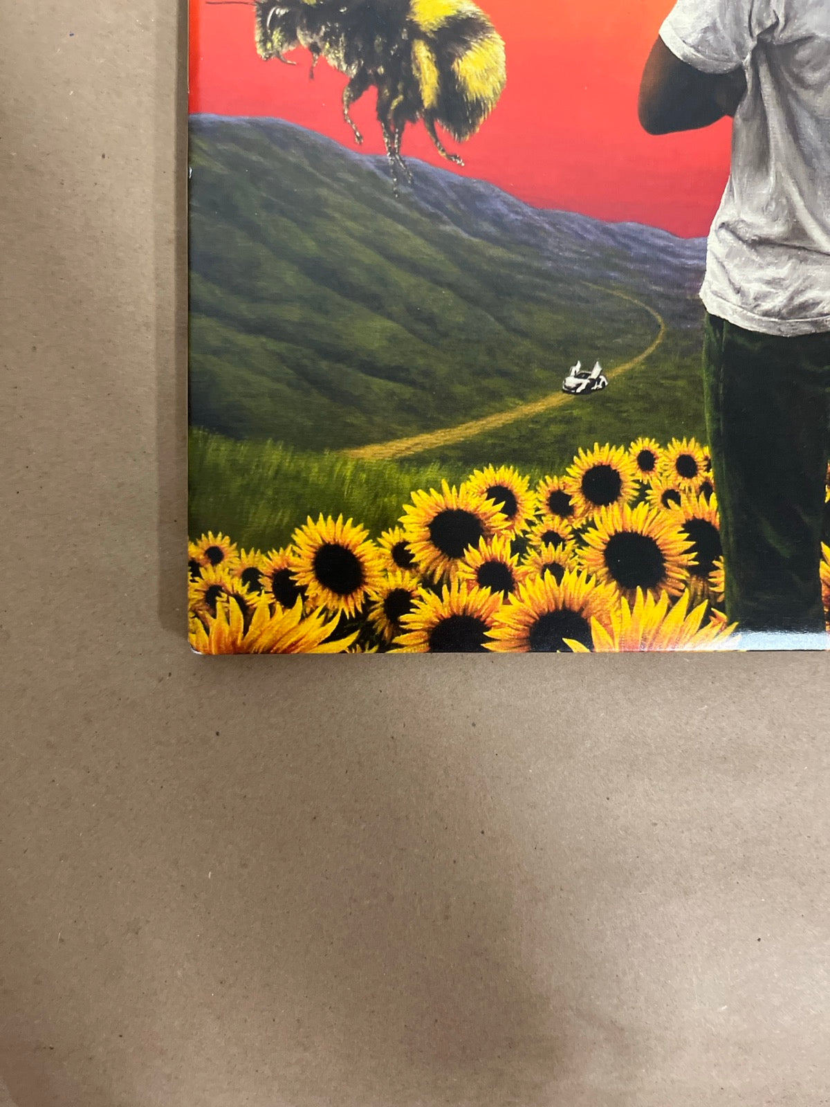FRONT_BL - Tyler, the Creator - Flower Boy LE Vinyl USED NOT TESTED