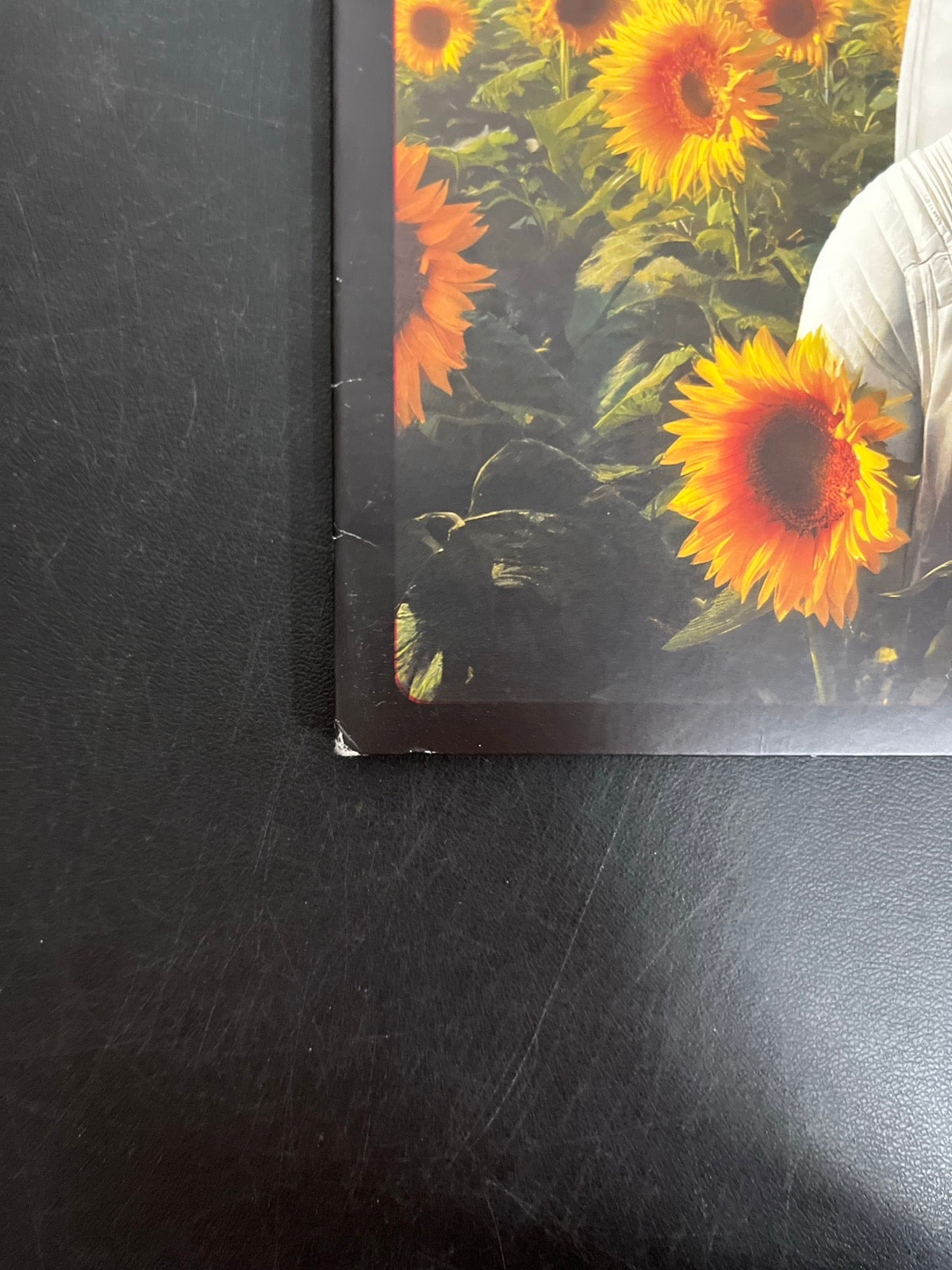 FRONT_BL - Tears For Fears - Songs For A Nerv ... LE Watermelon Cream Vinyl USED NOT TESTED