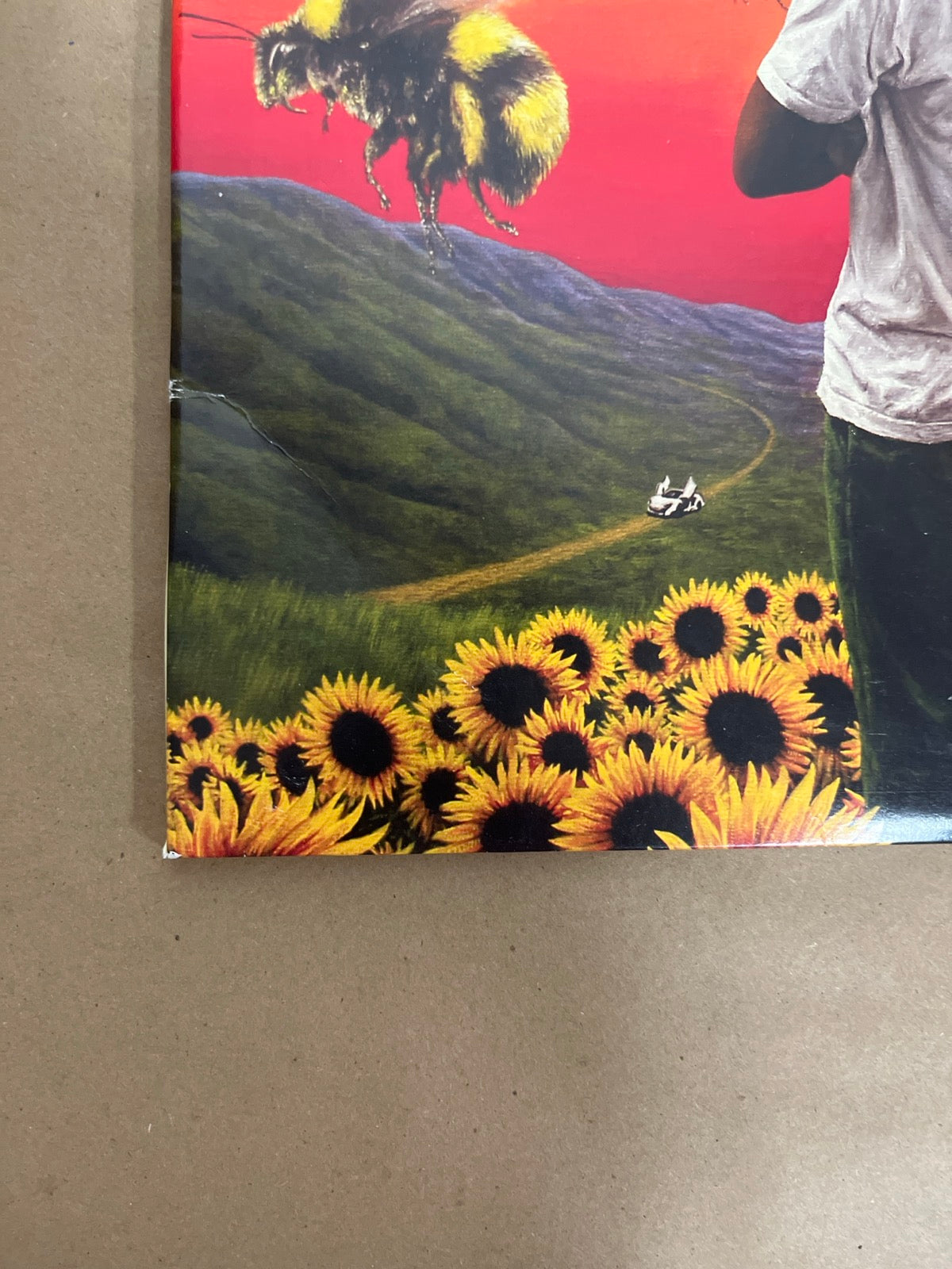 FRONT_BL - Tyler, the Creator - Flower Boy LE Vinyl USED NOT TESTED
