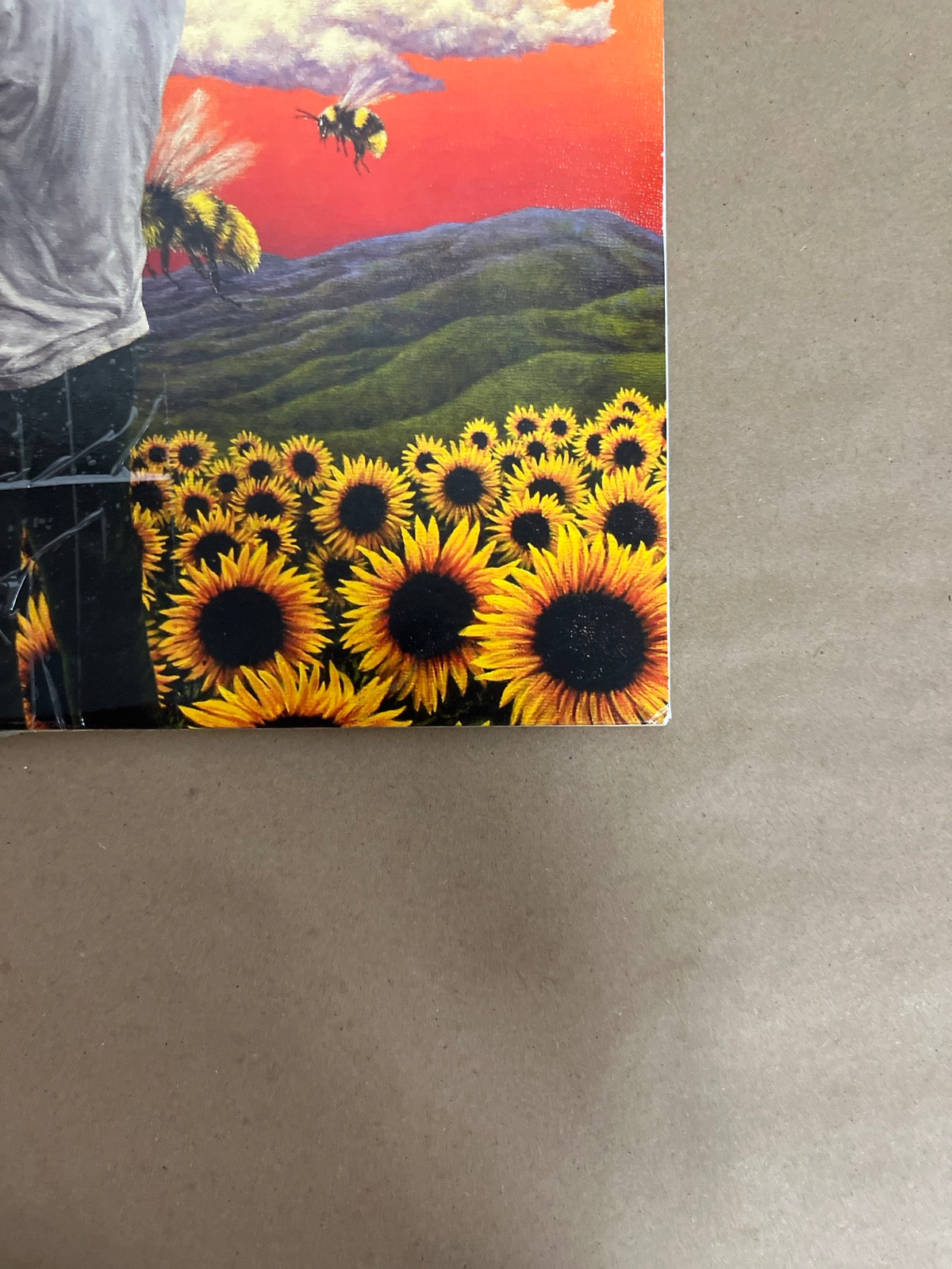 FRONT_BR - Tyler, the Creator - Flower Boy LE Vinyl USED NOT TESTED