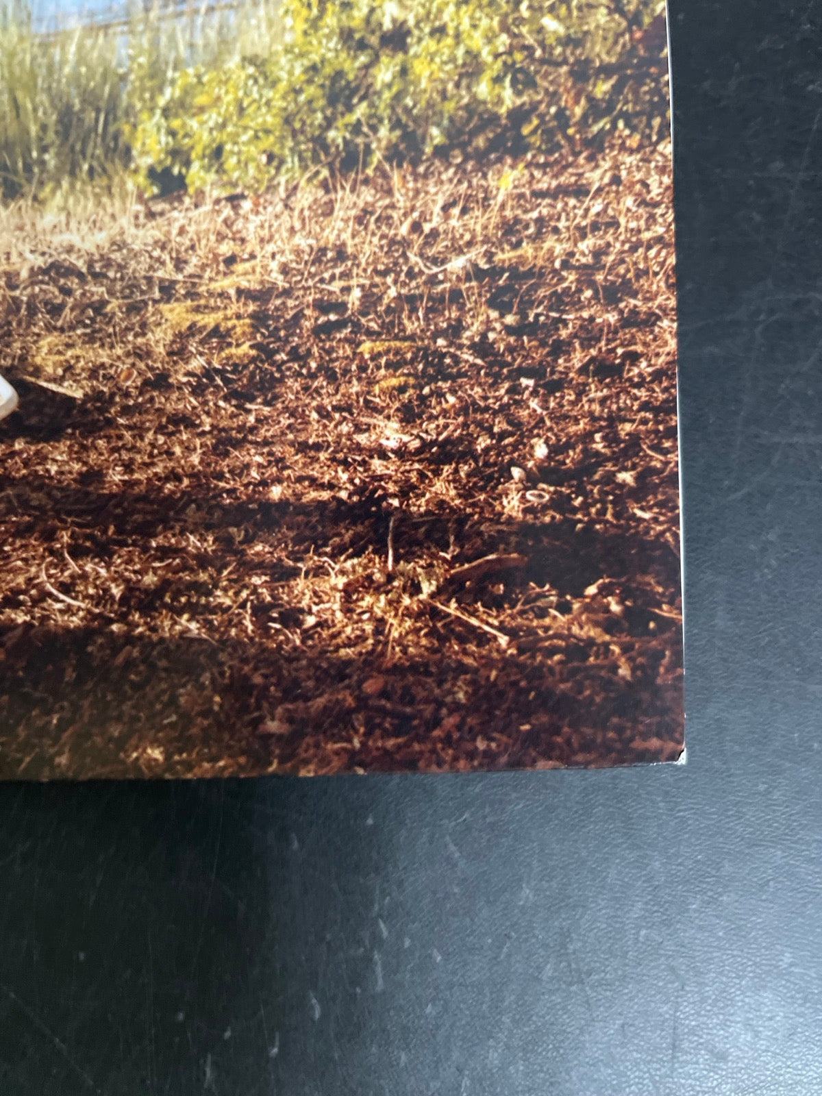 FRONT_BR - Leon Bridges - Leon Collector's Ed. Bone Color Vinyl USED NOT TESTED