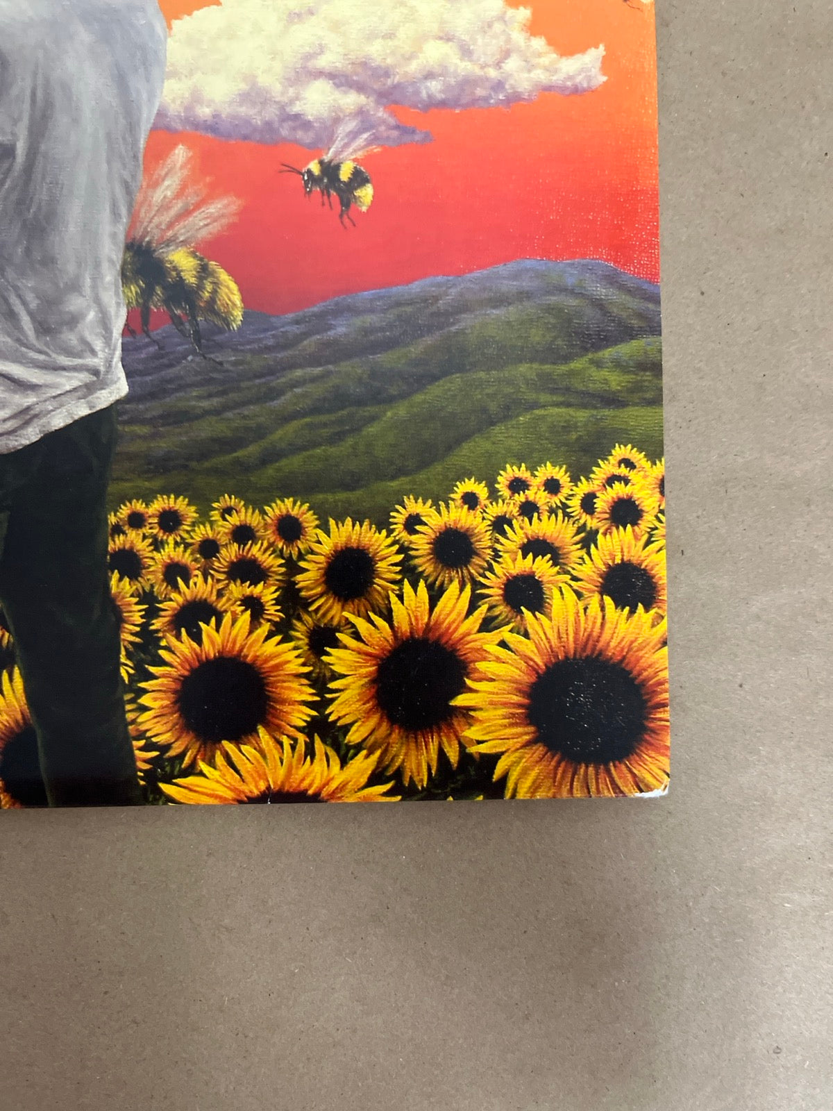 FRONT_BR - Tyler, the Creator - Flower Boy LE Vinyl USED NOT TESTED