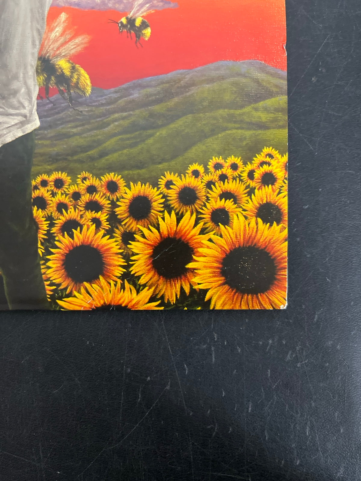 FRONT_BR - Tyler, the Creator - Flower Boy LE Vinyl USED NOT TESTED