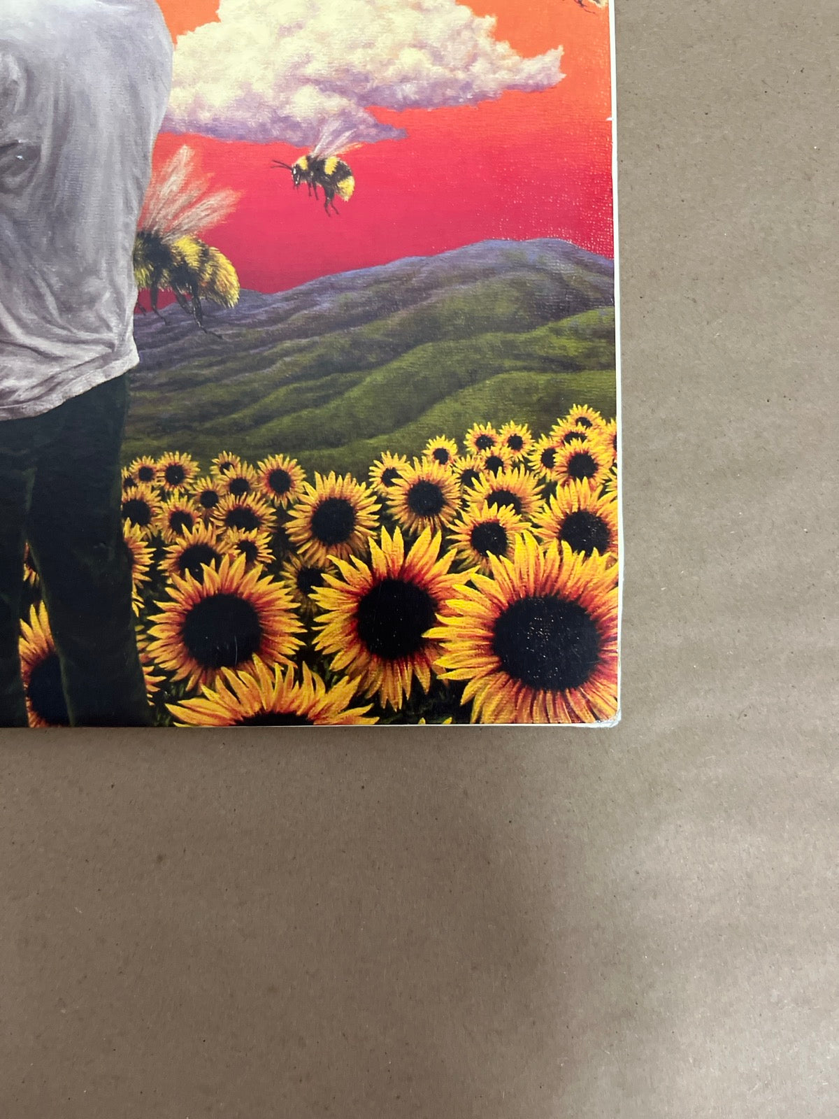 FRONT_BR - Tyler, the Creator - Flower Boy LE Vinyl USED NOT TESTED