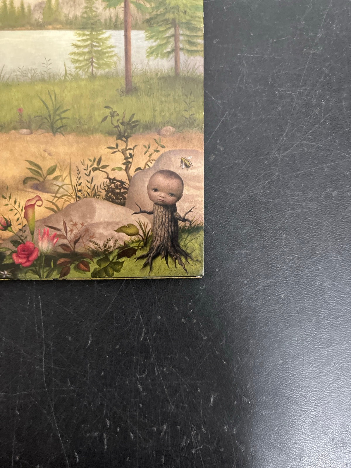 FRONT_BR - Tyler, The Creator - Wolf LE Pink Vinyl USED NOT TESTED