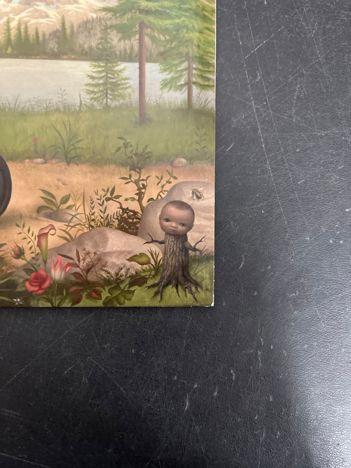FRONT_BR - Tyler, The Creator - Wolf LE Pink Vinyl USED NOT TESTED