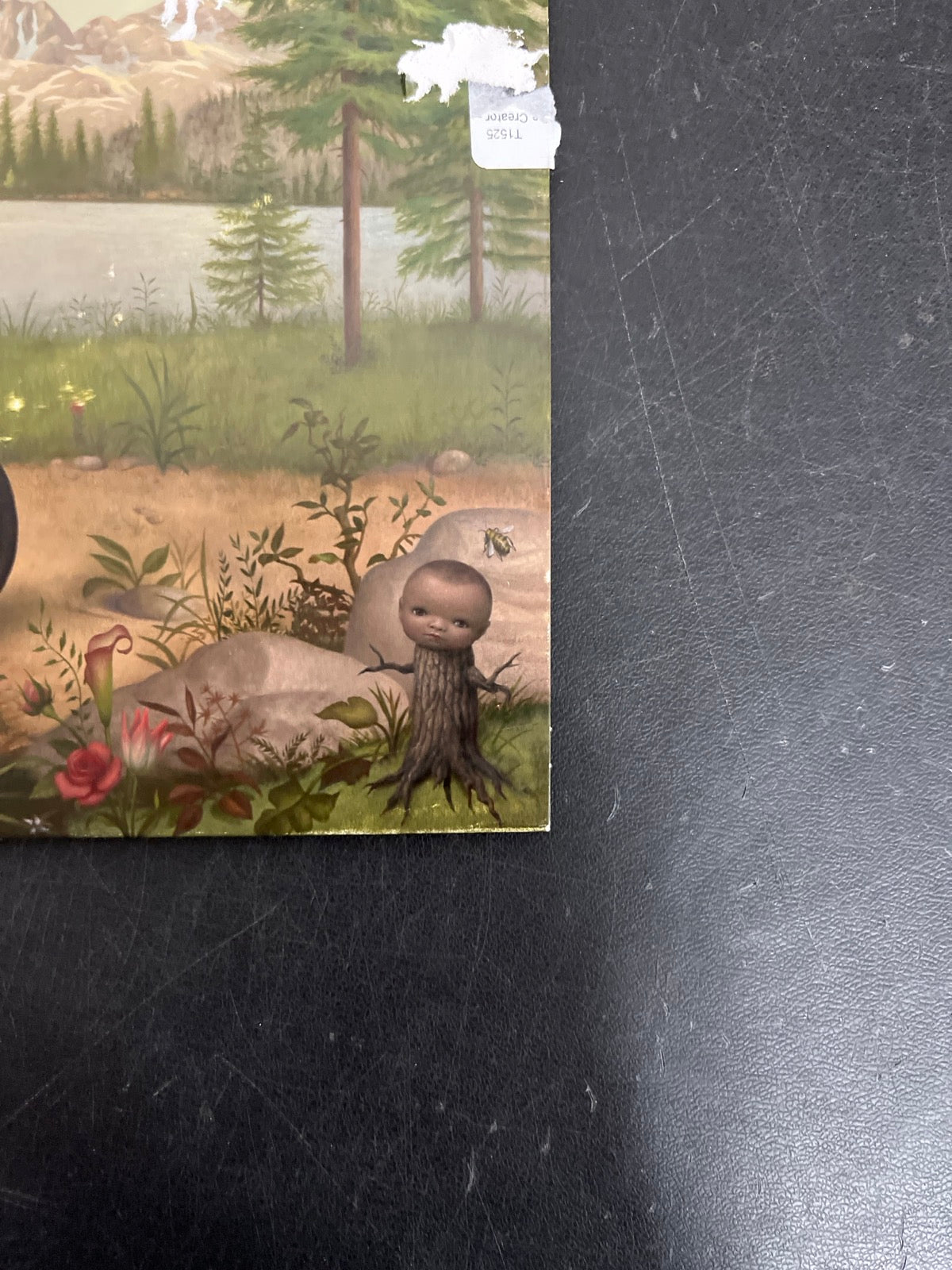 FRONT_BR - Tyler, The Creator - Wolf LE Pink Vinyl USED NOT TESTED