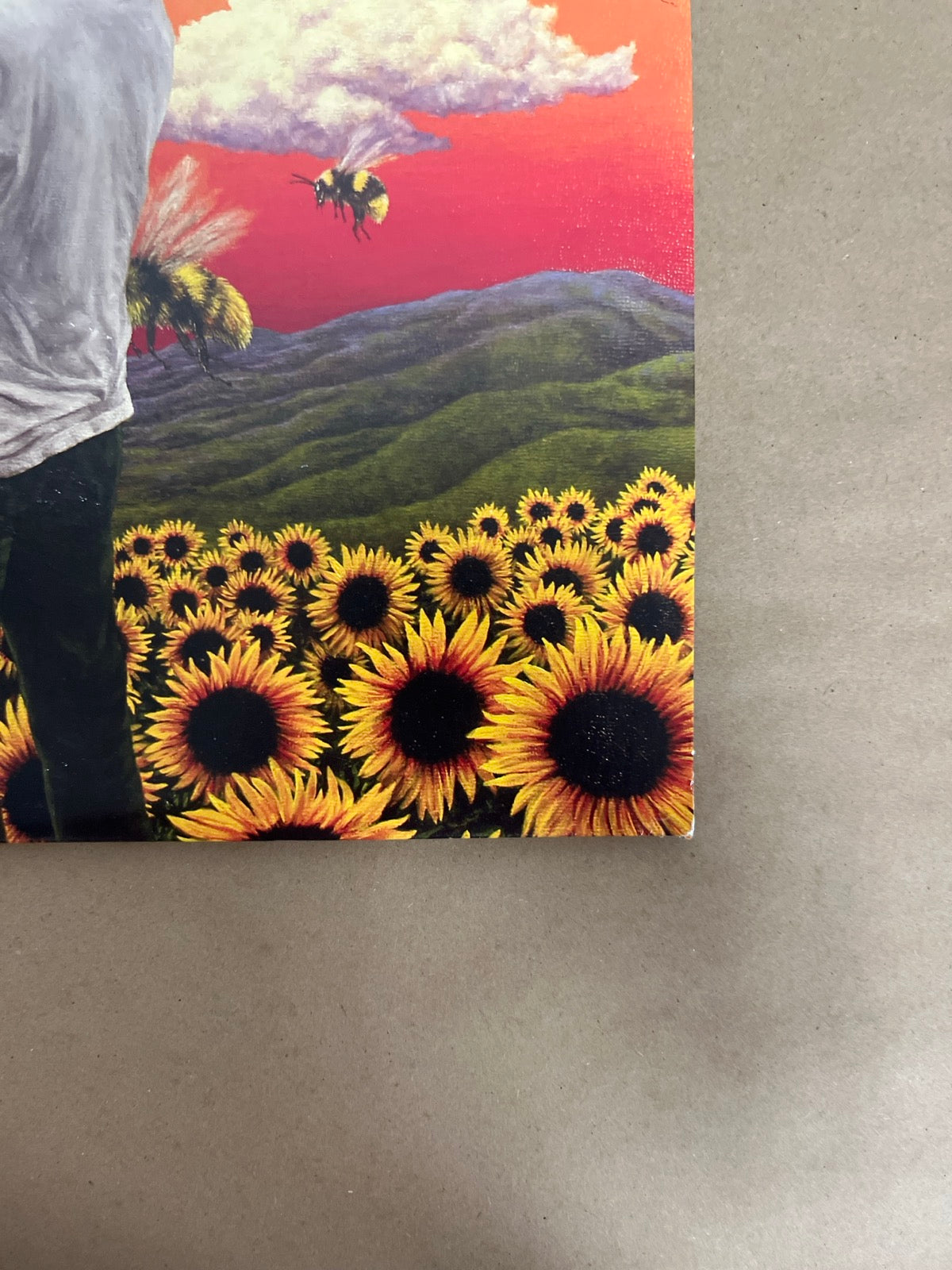 FRONT_BR - Tyler, the Creator - Flower Boy LE Vinyl USED NOT TESTED