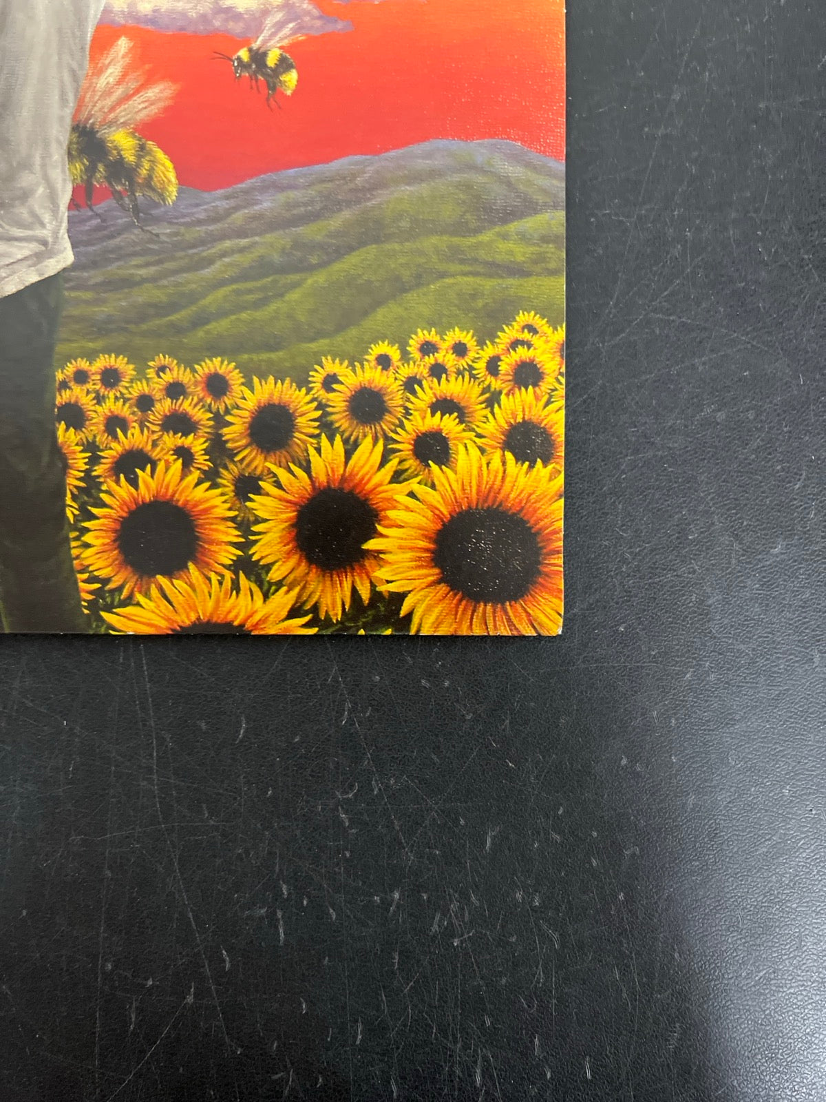 FRONT_BR - Tyler, the Creator - Flower Boy LE Vinyl USED NOT TESTED
