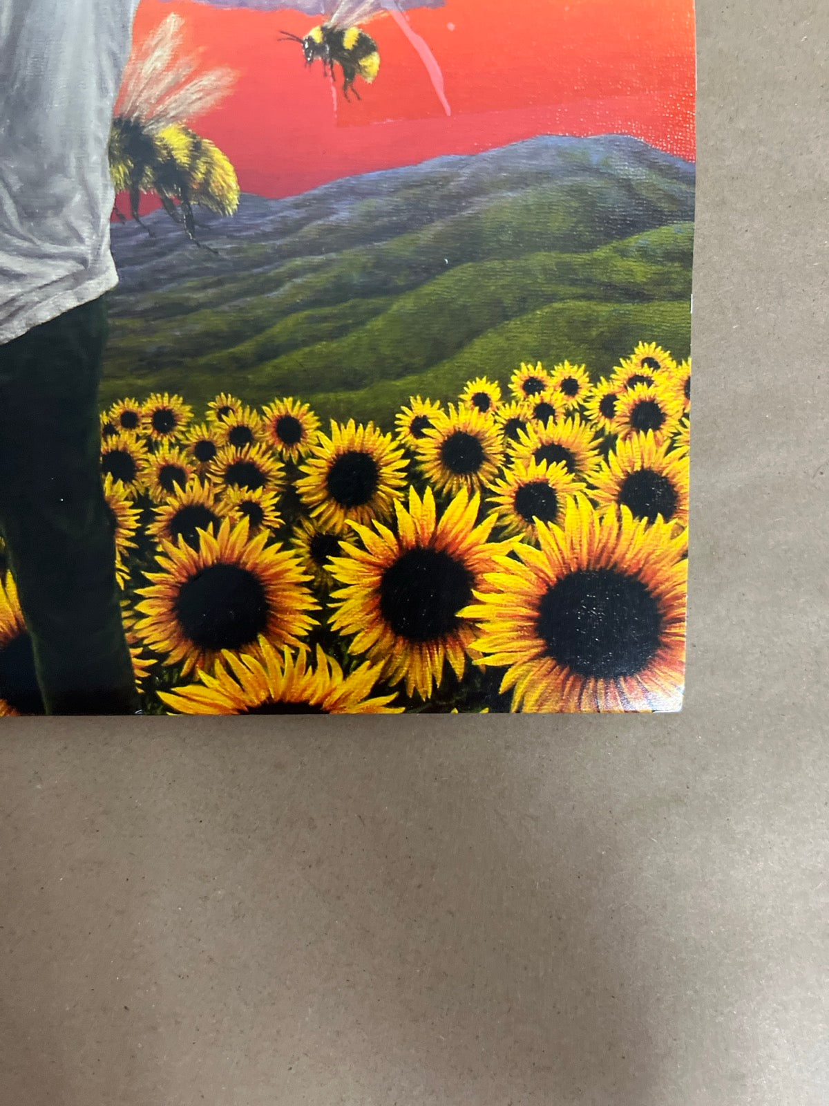 FRONT_BR - Tyler, the Creator - Flower Boy LE Vinyl USED NOT TESTED