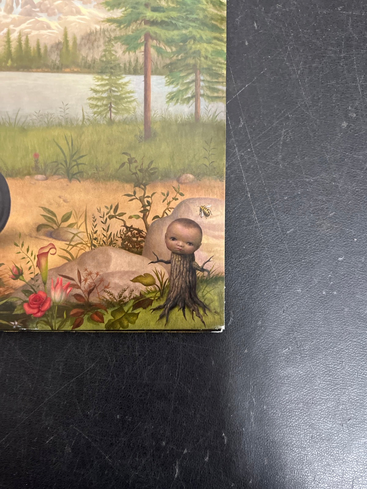 FRONT_BR - Tyler, The Creator - Wolf LE Pink Vinyl USED NOT TESTED