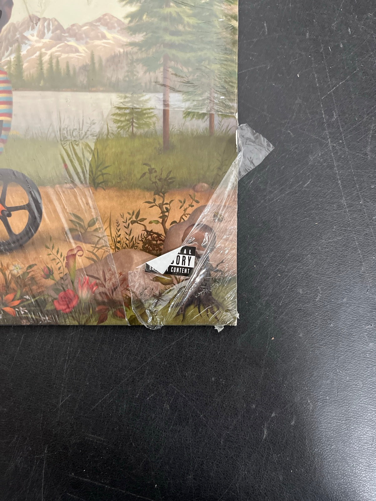 FRONT_BR - Tyler, The Creator - Wolf LE Pink Vinyl USED NOT TESTED
