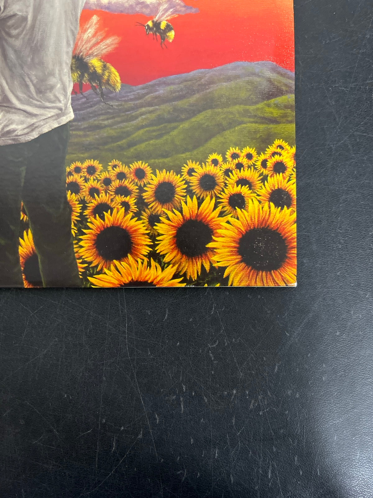 FRONT_BR - Tyler, the Creator - Flower Boy LE Vinyl USED NOT TESTED