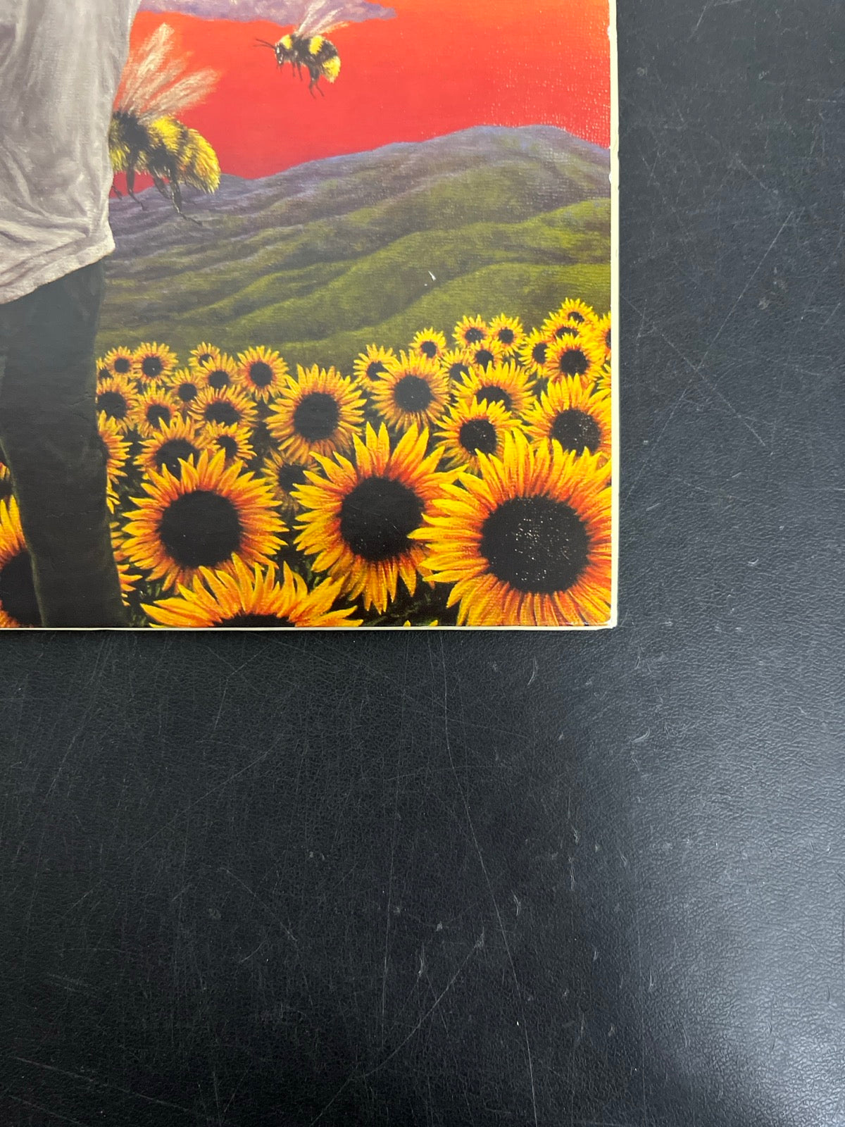 FRONT_BR - Tyler, the Creator - Flower Boy LE Vinyl USED NOT TESTED