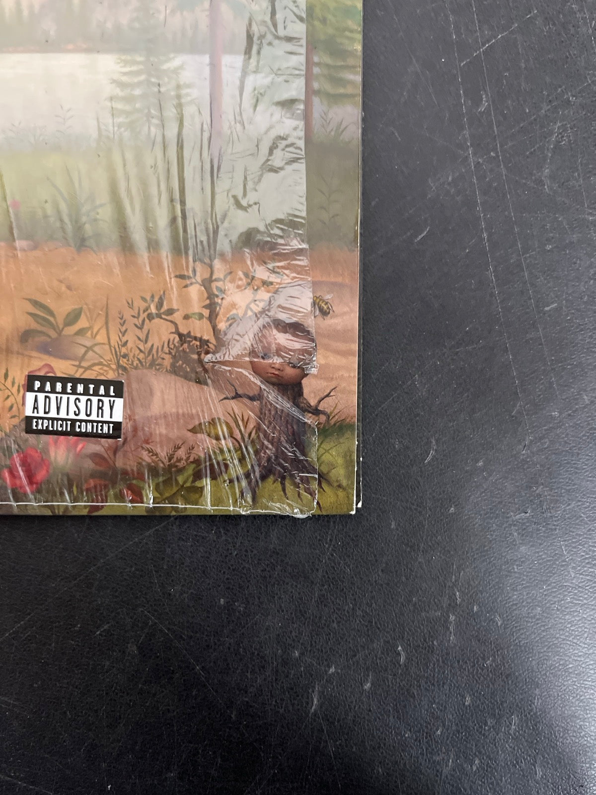 FRONT_BR - Tyler, The Creator - Wolf LE Pink Vinyl USED NOT TESTED