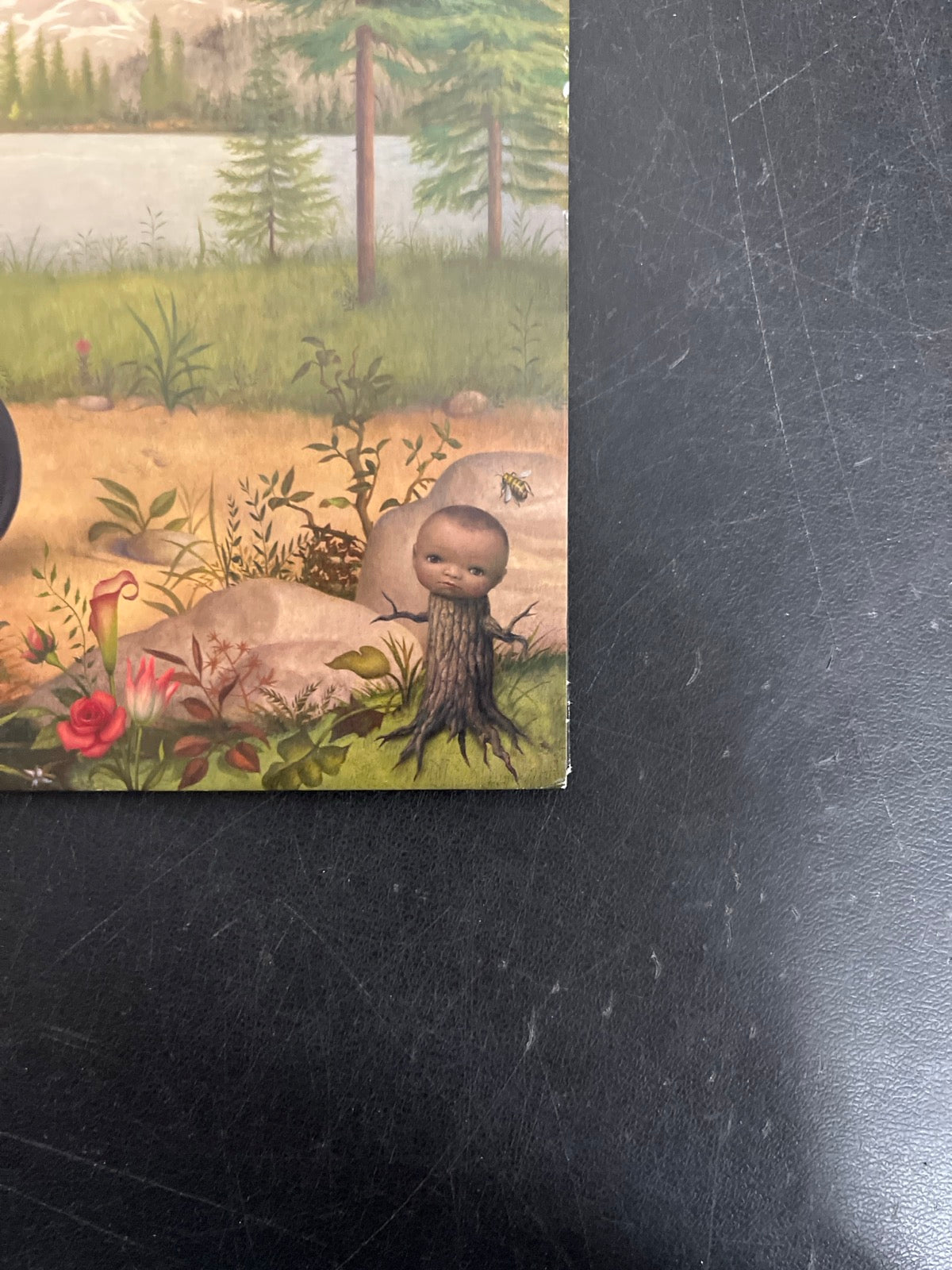 FRONT_BR - Tyler, The Creator - Wolf LE Pink Vinyl USED NOT TESTED