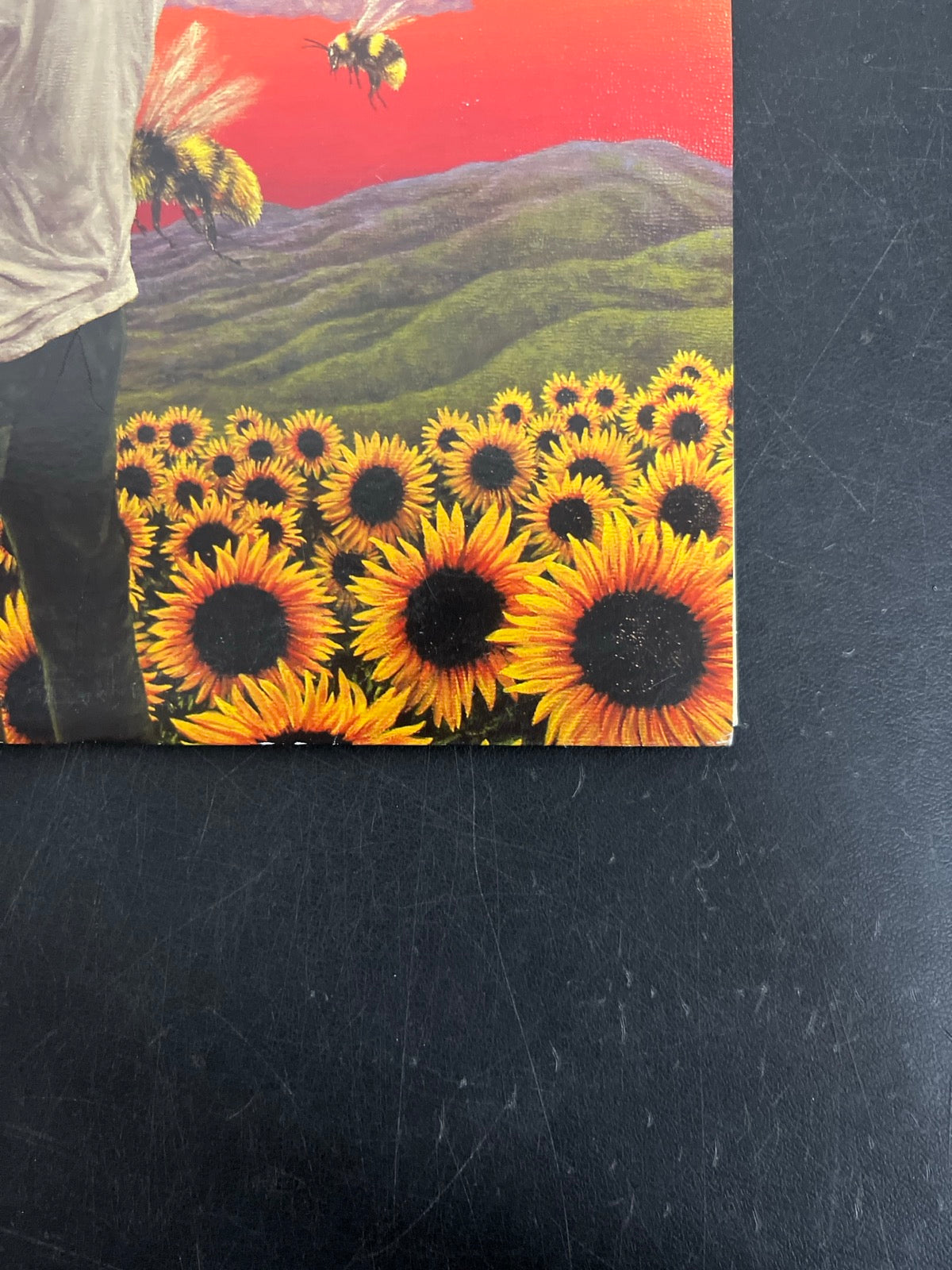 FRONT_BR - Tyler, the Creator - Flower Boy LE Vinyl USED NOT TESTED