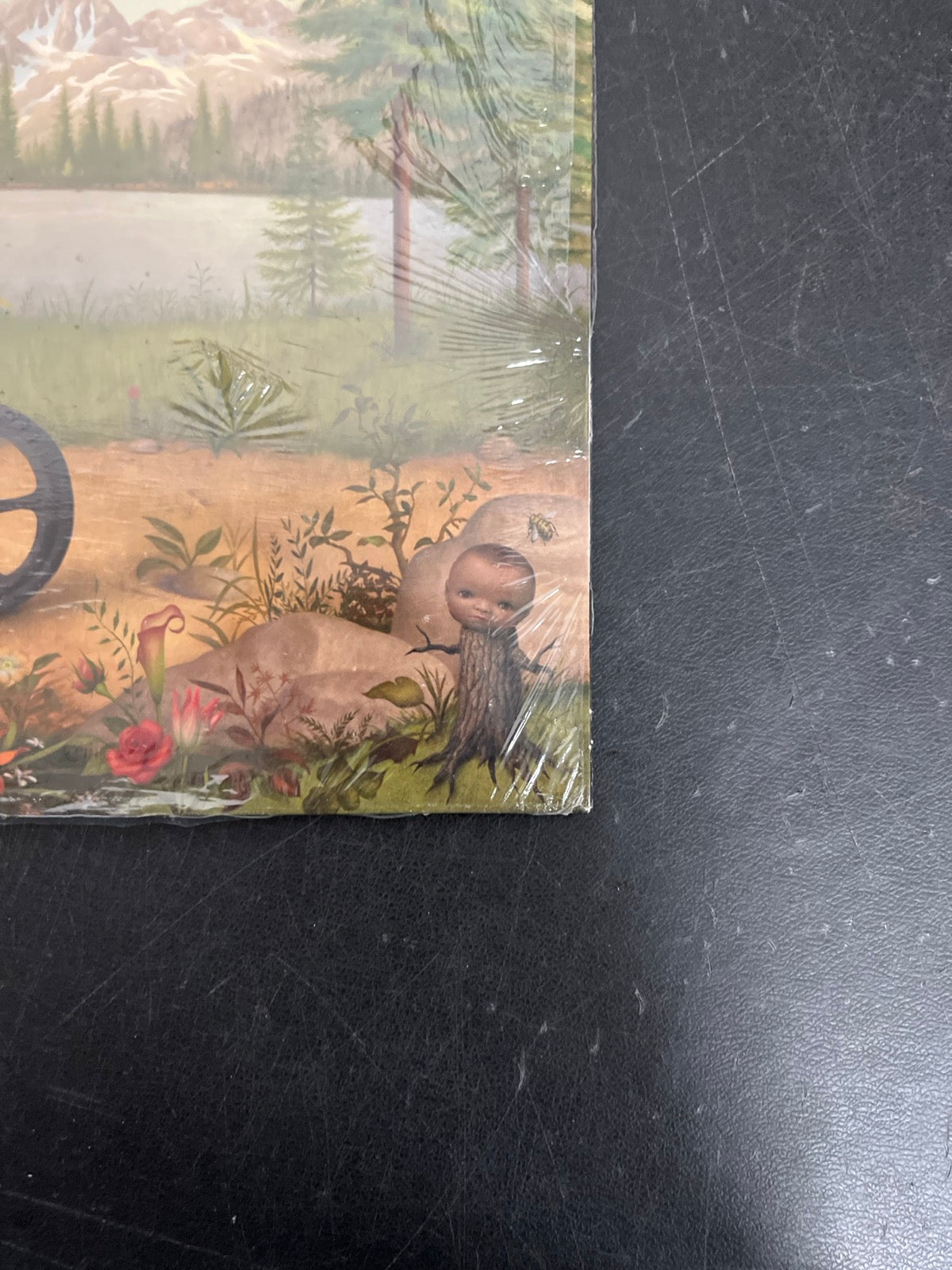 FRONT_BR - Tyler, The Creator - Wolf LE Pink Vinyl USED NOT TESTED