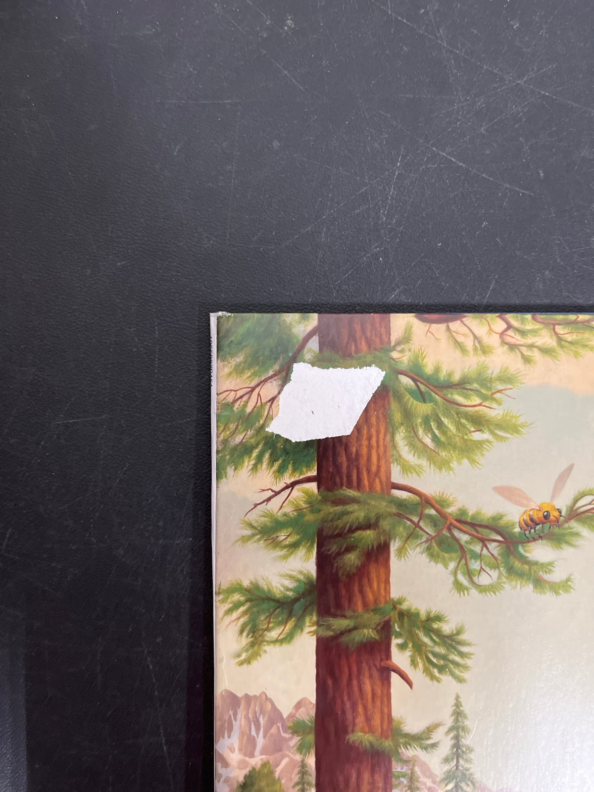FRONT_TL - Tyler, The Creator - Wolf LE Pink Vinyl USED NOT TESTED