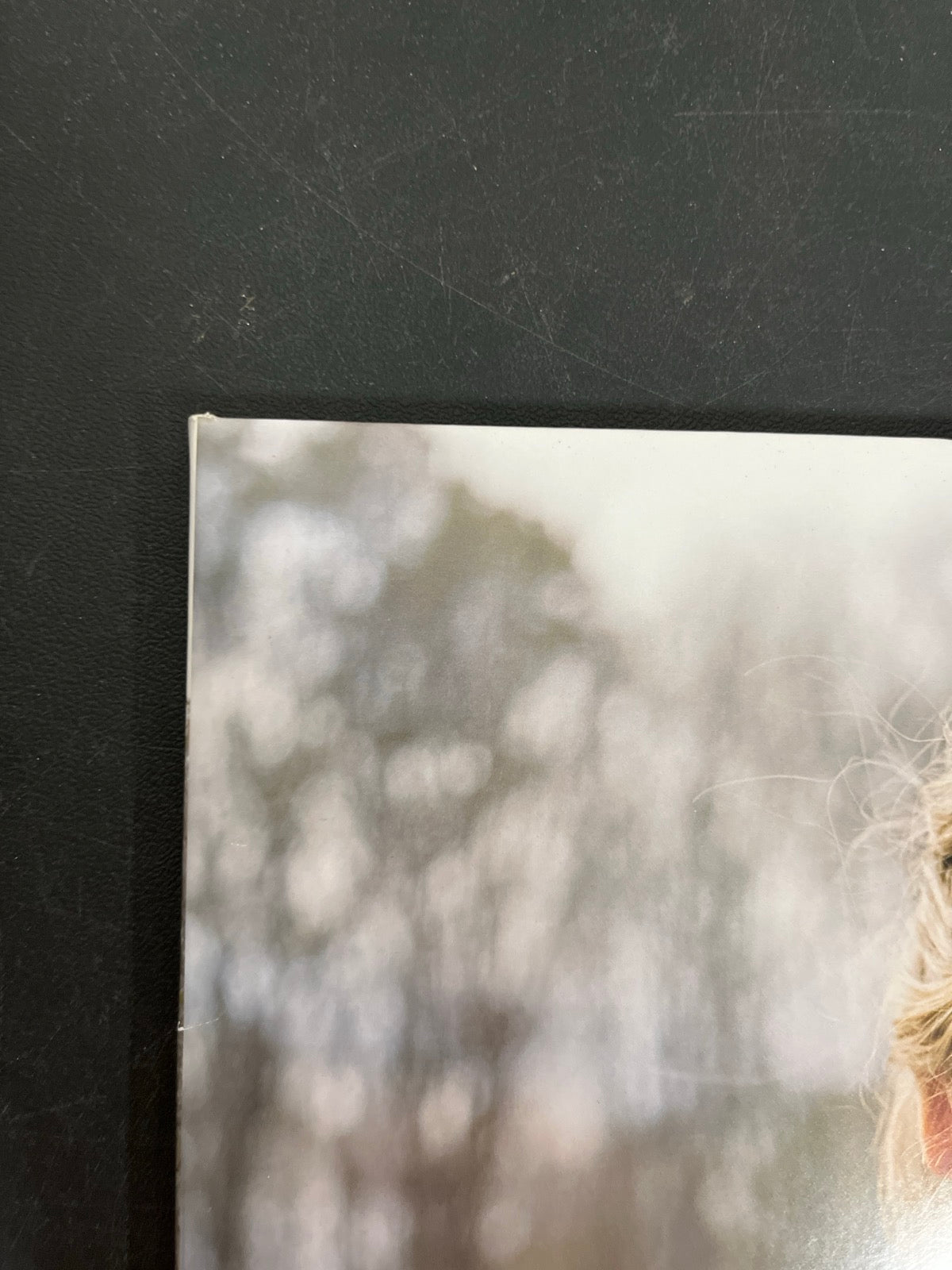 FRONT_TL - Taylor Swift - Evermore LE Translucent Red Etched Vinyl USED NOT TESTED