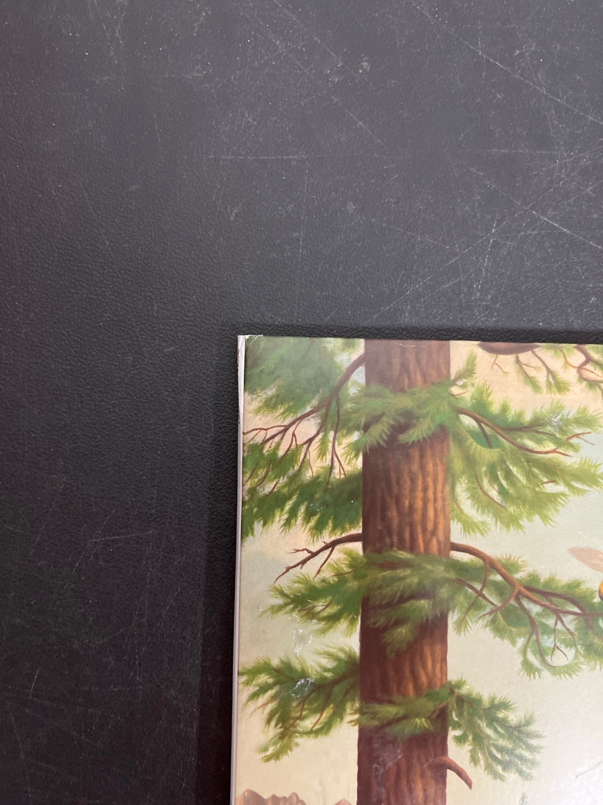 FRONT_TL - Tyler, The Creator - Wolf LE Pink Vinyl USED NOT TESTED