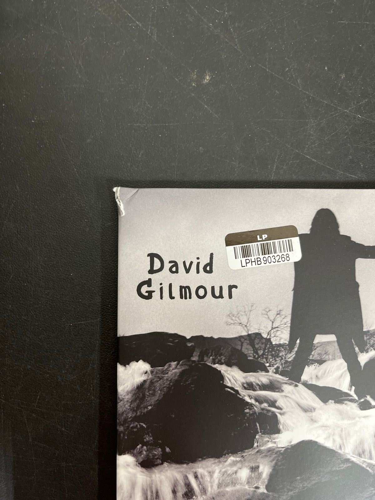 FRONT_TL - David Gilmour - Luck and S... Target Exclusive Blue Vinyl USED NOT TESTED