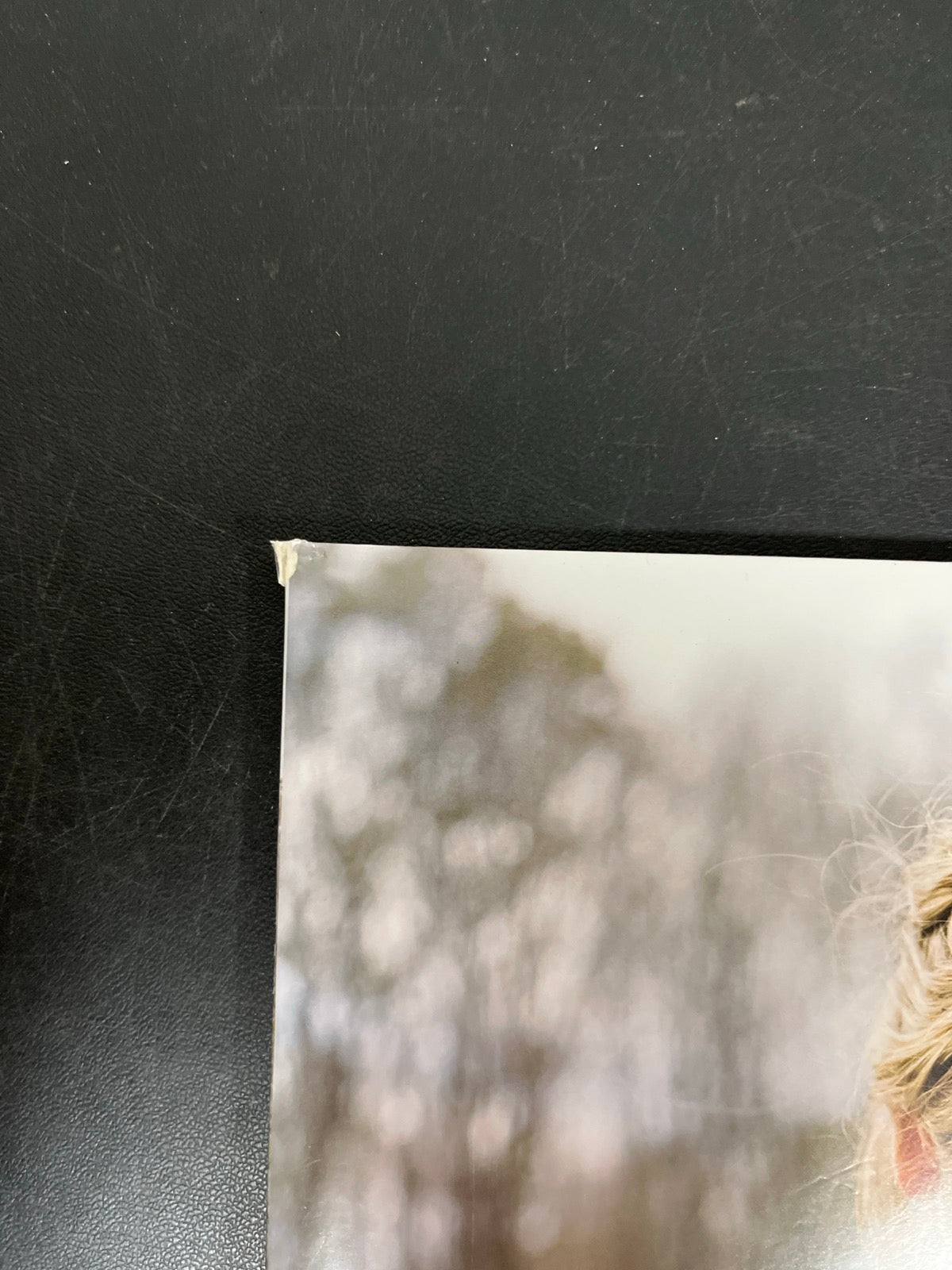 FRONT_TL - Taylor Swift - Evermore LE Translucent Red Etched Vinyl USED NOT TESTED