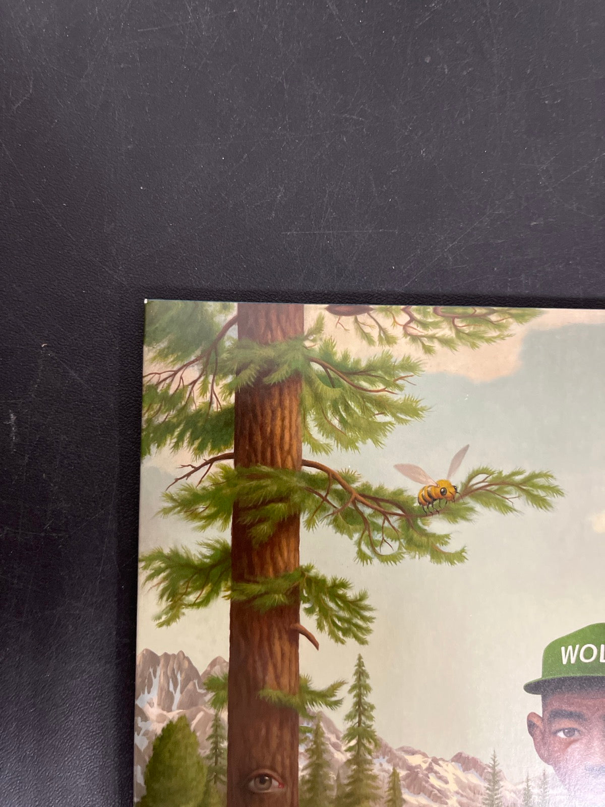 FRONT_TL - Tyler, The Creator - Wolf LE Pink Vinyl USED NOT TESTED