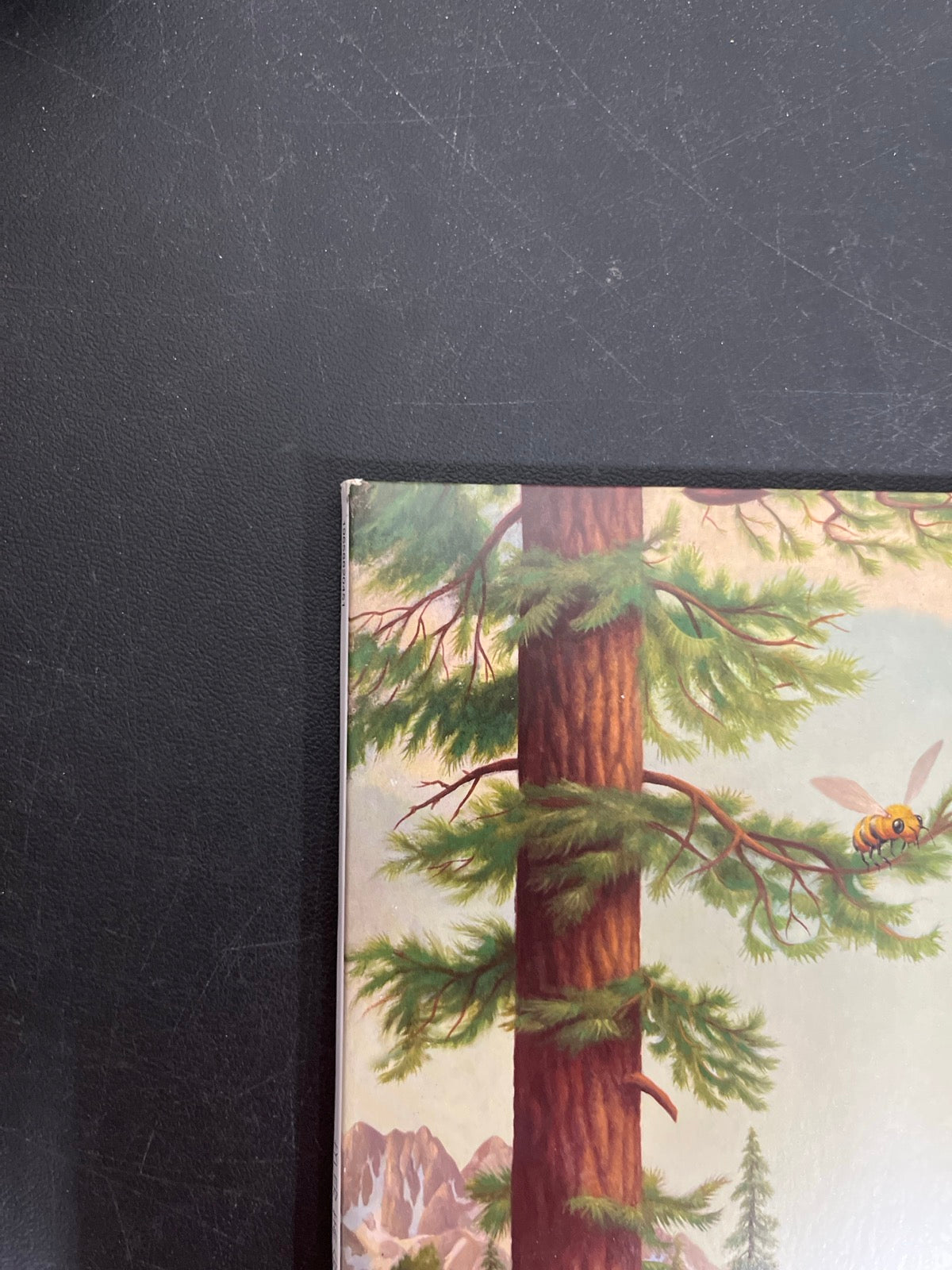 FRONT_TL - Tyler, The Creator - Wolf LE Pink Vinyl USED NOT TESTED