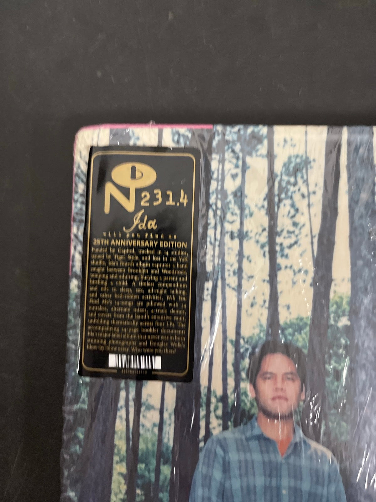 FRONT_TL - Ida - Will You Find Me Anniversary Ed. Remastered Vinyl USED NOT TESTED