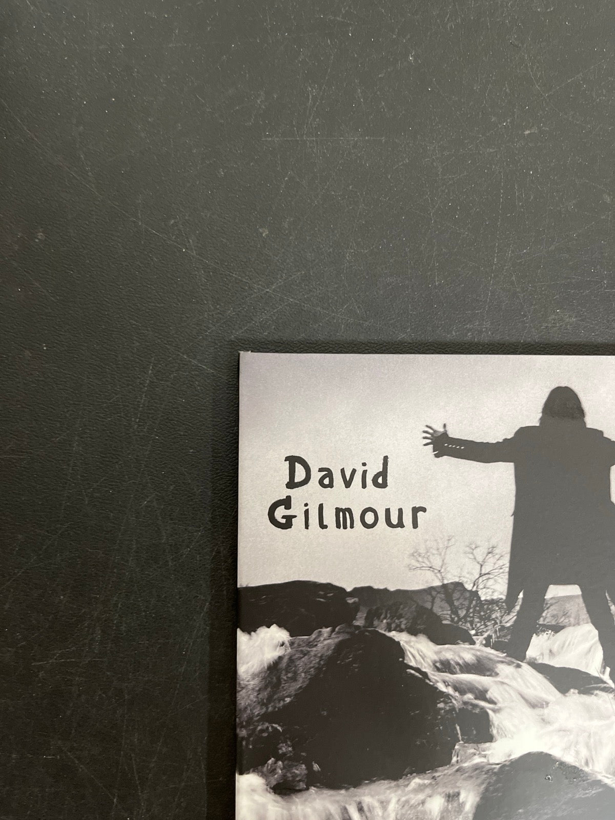 FRONT_TL - David Gilmour - Luck and S... Target Exclusive Blue Vinyl USED NOT TESTED