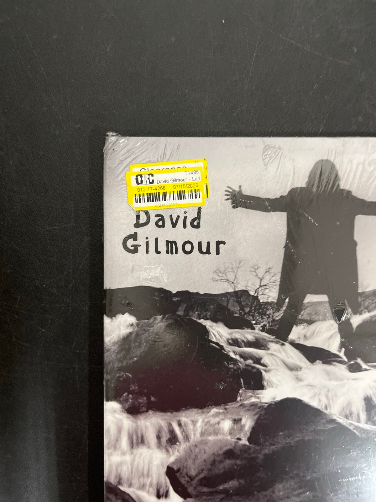 FRONT_TL - David Gilmour - Luck and S... Target Exclusive Blue Vinyl USED NOT TESTED