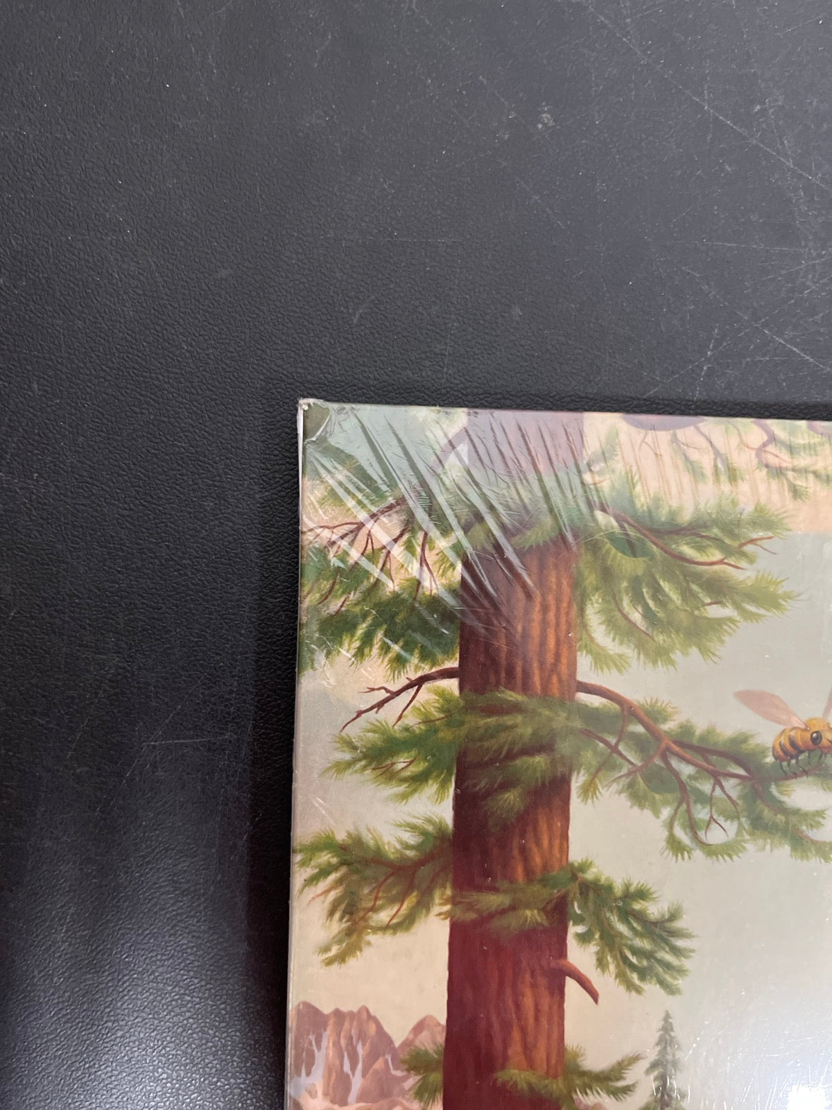 FRONT_TL - Tyler, The Creator - Wolf LE Pink Vinyl USED NOT TESTED